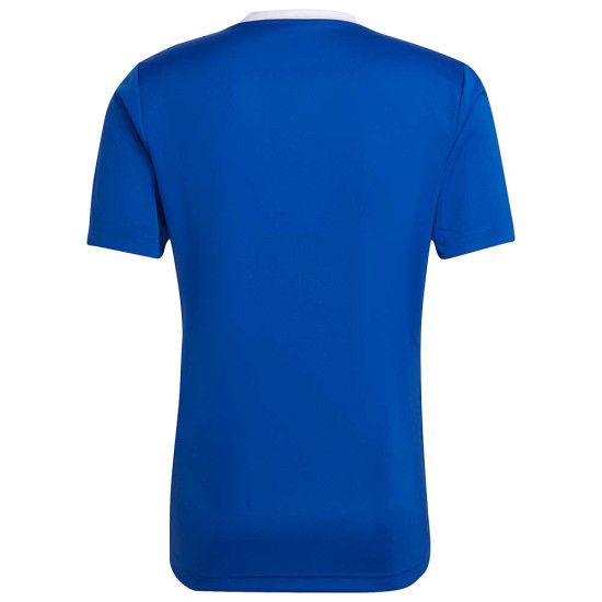 Adidas Ανδρική ποδοσφαιρική φανέλα Entrada 22 Jersey
